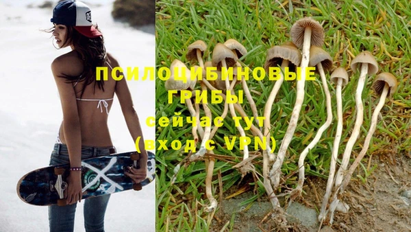 a pvp Михайловка